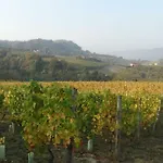 Corte Di Langa * Rocchetta Belbo
