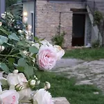 Corte Di Langa * Rocchetta Belbo