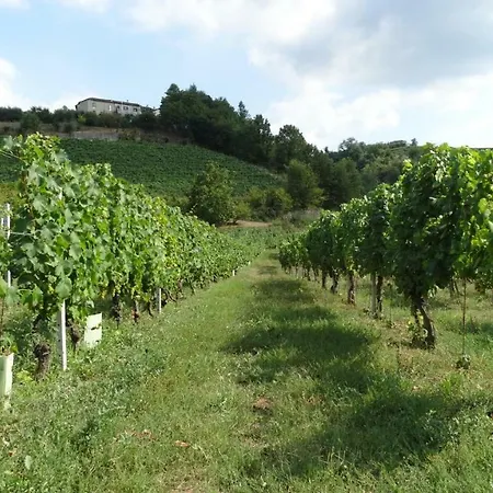 Corte Di Langa Rocchetta Belbo