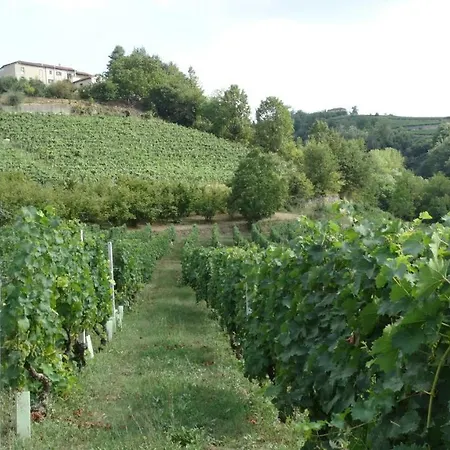 Kwatera prywatna Corte Di Langa