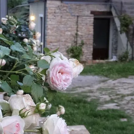 Corte Di Langa * Rocchetta Belbo