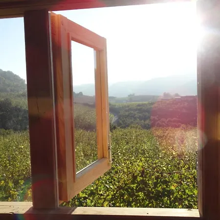 Kwatera prywatna Corte Di Langa Rocchetta Belbo