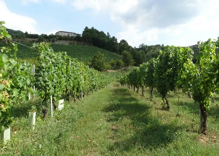 Corte Di Langa Rocchetta Belbo