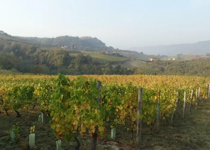 Corte Di Langa * Rocchetta Belbo